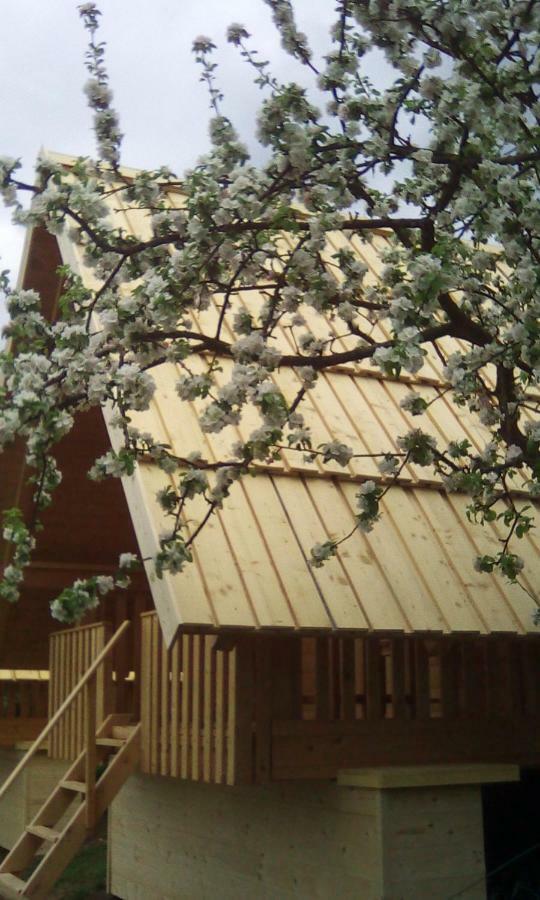 Farmglamping Planika - Encijan Villa Hrase Kültér fotó